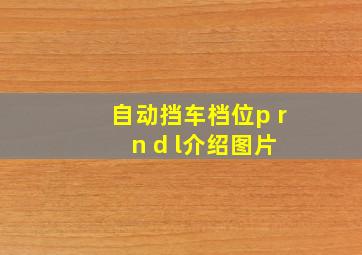 自动挡车档位p r n d l介绍图片